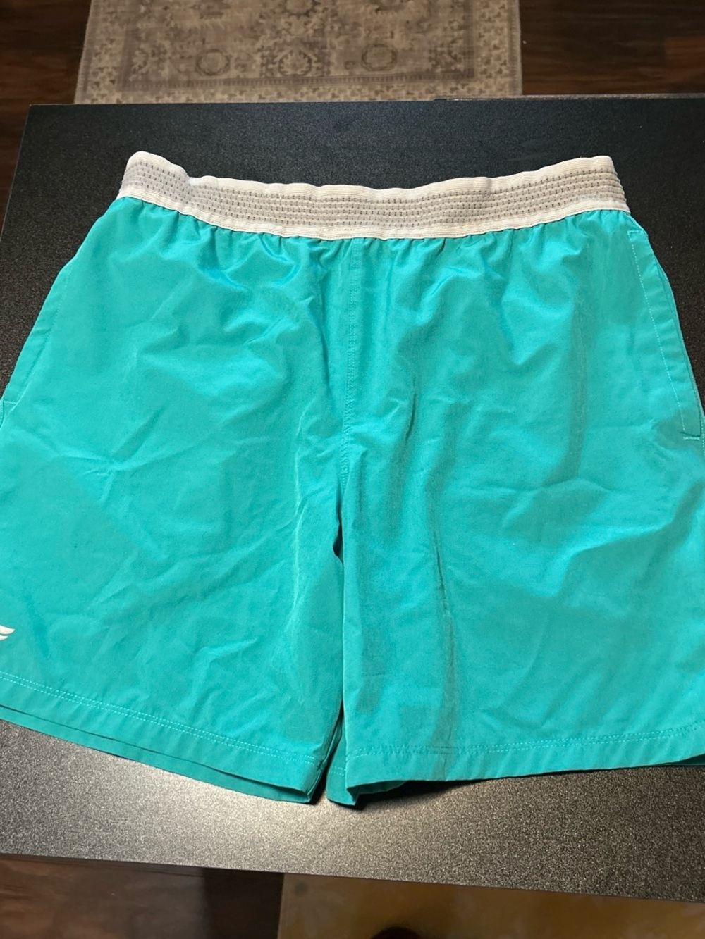 Fabletics Turquoise Shorts with grey Elastic Waistband
